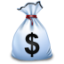 Accounting Software Icon