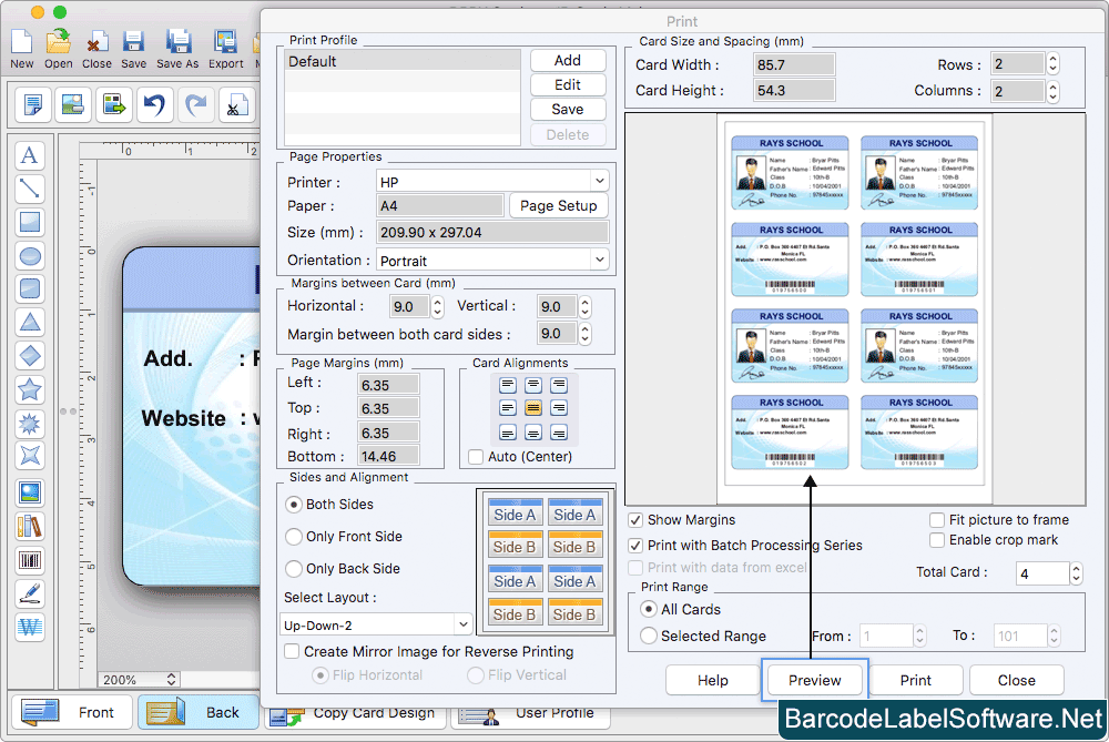 Print Settings